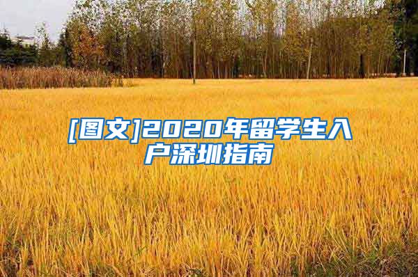 [图文]2020年留学生入户深圳指南