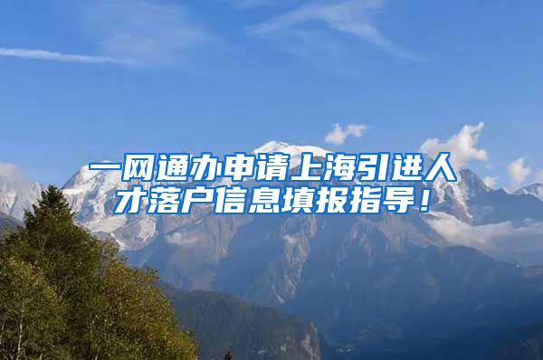 一网通办申请上海引进人才落户信息填报指导！