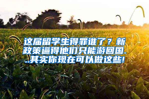 这届留学生得罪谁了？新政策逼得他们只能游回国...其实你现在可以做这些!