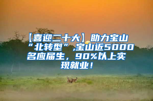 【喜迎二十大】助力宝山“北转型”,宝山近5000名应届生，90%以上实现就业！