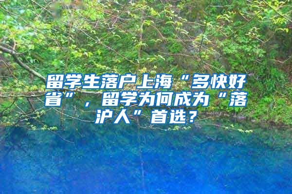 留学生落户上海“多快好省”，留学为何成为“落沪人”首选？