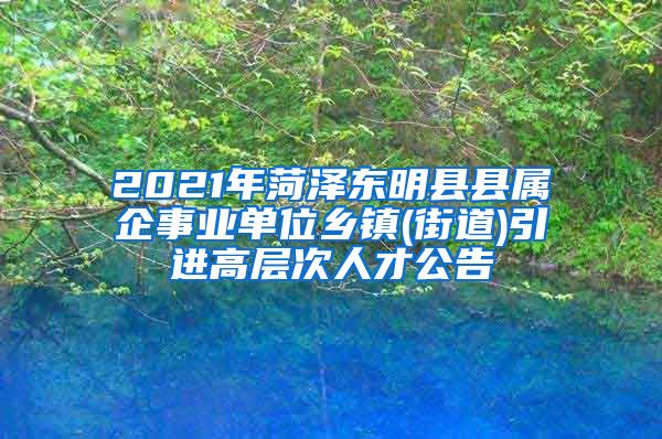 2021年菏泽东明县县属企事业单位乡镇(街道)引进高层次人才公告