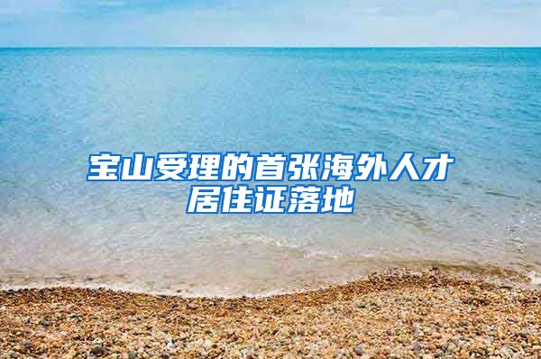 宝山受理的首张海外人才居住证落地