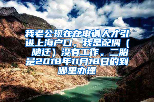 我老公现在在申请人才引进上海户口，我是配偶（ 随迁）没有工作。二胎是2018年11月18日的到哪里办理