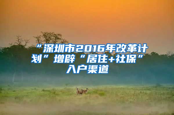 “深圳市2016年改革计划”增辟“居住+社保”入户渠道