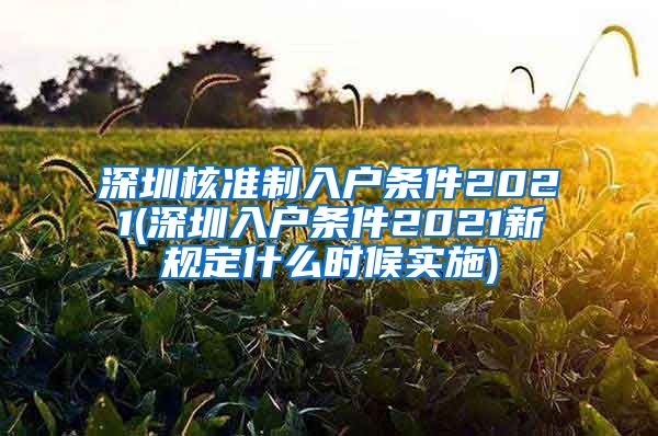 深圳核准制入户条件2021(深圳入户条件2021新规定什么时候实施)