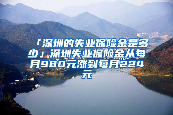 「深圳的失业保险金是多少」深圳失业保险金从每月980元涨到每月224元