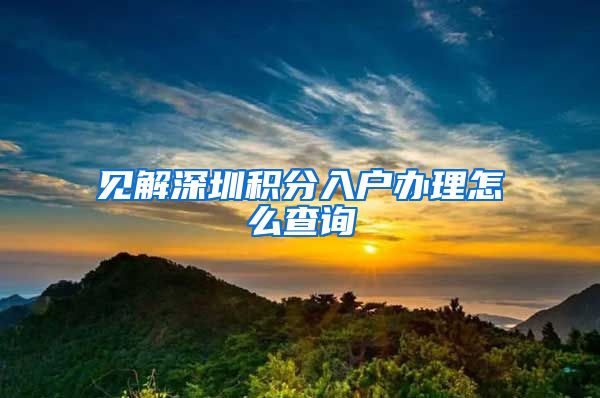 见解深圳积分入户办理怎么查询