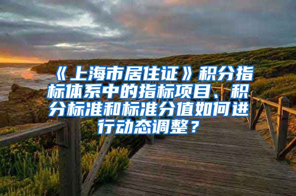 《上海市居住证》积分指标体系中的指标项目、积分标准和标准分值如何进行动态调整？