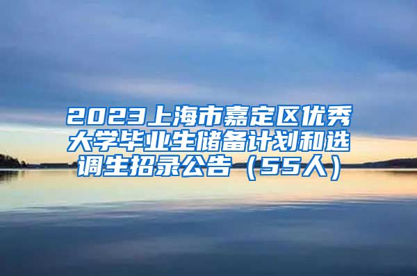 2023上海市嘉定区优秀大学毕业生储备计划和选调生招录公告（55人）