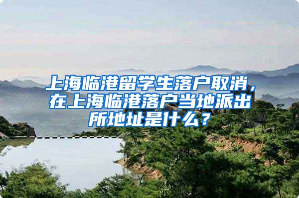 上海临港留学生落户取消，在上海临港落户当地派出所地址是什么？