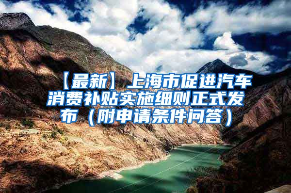 【最新】上海市促进汽车消费补贴实施细则正式发布（附申请条件问答）