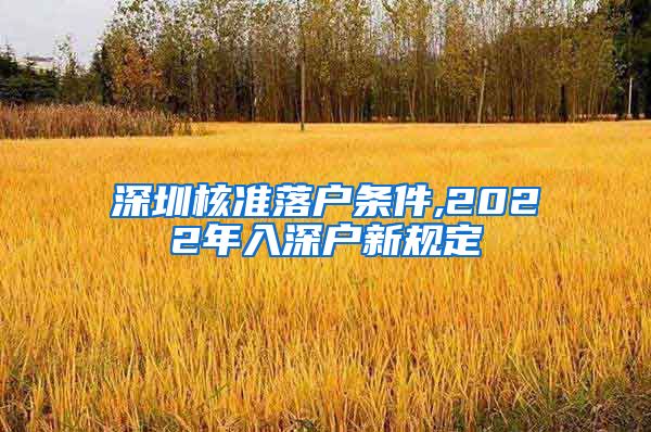 深圳核准落户条件,2022年入深户新规定