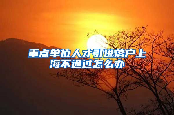 重点单位人才引进落户上海不通过怎么办