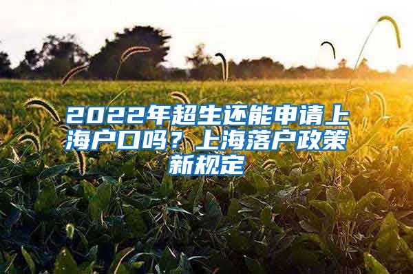 2022年超生还能申请上海户口吗？上海落户政策新规定