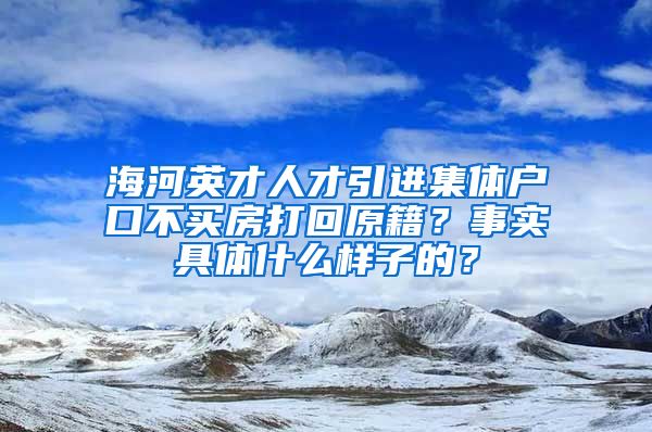 海河英才人才引进集体户口不买房打回原籍？事实具体什么样子的？