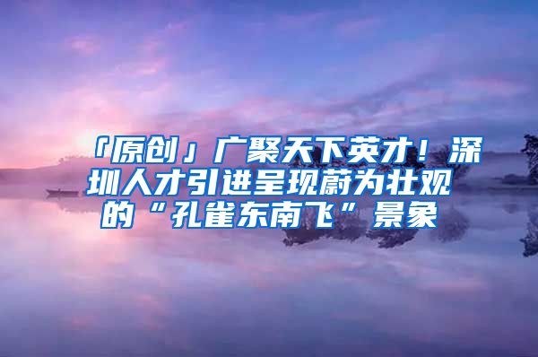 「原创」广聚天下英才！深圳人才引进呈现蔚为壮观的“孔雀东南飞”景象