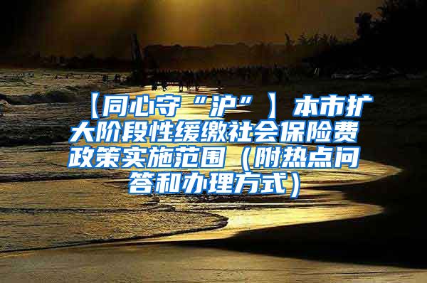 【同心守“沪”】本市扩大阶段性缓缴社会保险费政策实施范围（附热点问答和办理方式）