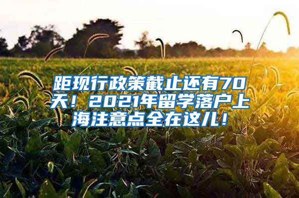 距现行政策截止还有70天！2021年留学落户上海注意点全在这儿！