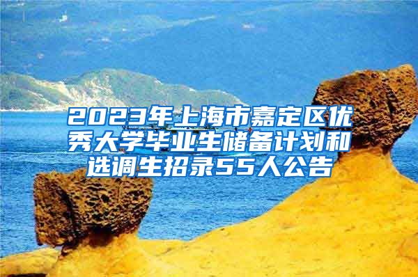 2023年上海市嘉定区优秀大学毕业生储备计划和选调生招录55人公告