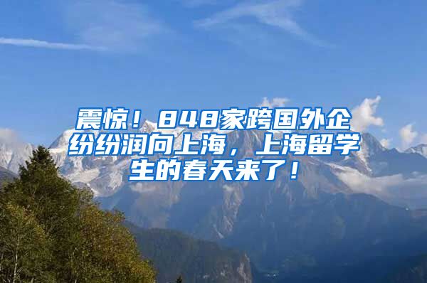 震惊！848家跨国外企纷纷润向上海，上海留学生的春天来了！