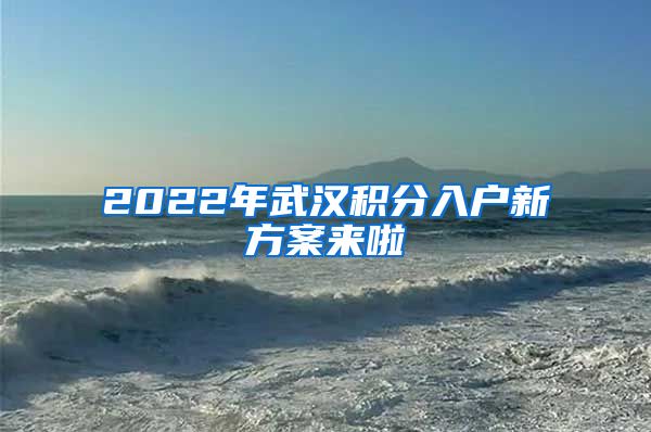 2022年武汉积分入户新方案来啦