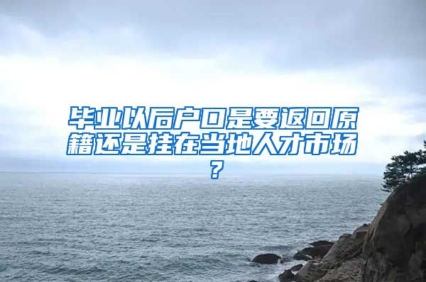 毕业以后户口是要返回原籍还是挂在当地人才市场？