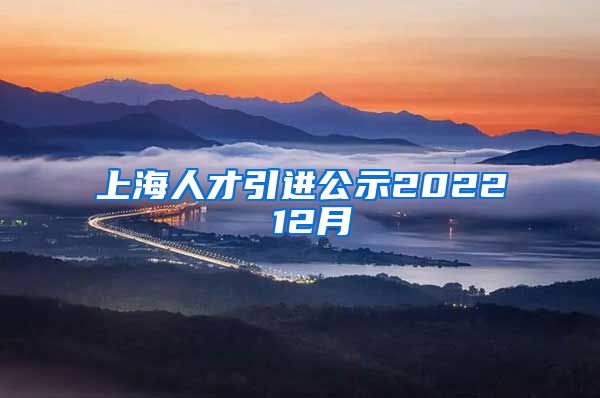 上海人才引进公示2022 12月