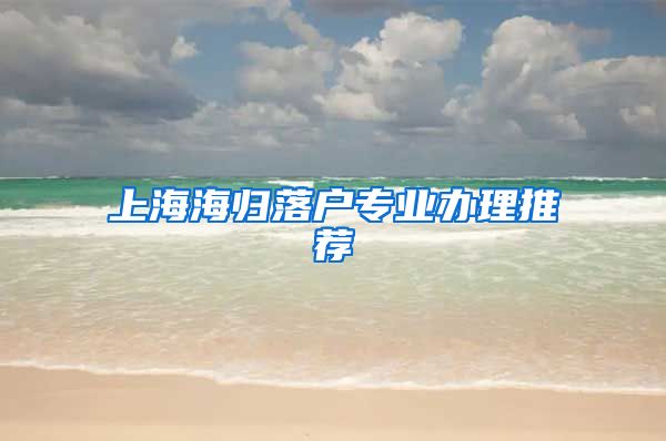 上海海归落户专业办理推荐