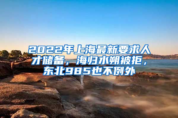 2022年上海最新要求人才储备，海归水朔被拒，东北985也不例外