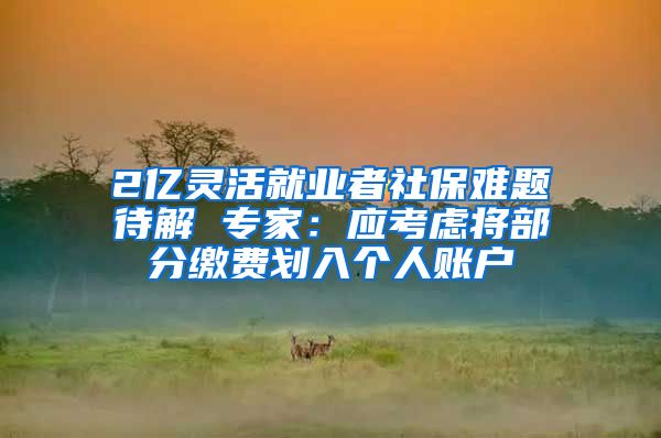 2亿灵活就业者社保难题待解 专家：应考虑将部分缴费划入个人账户