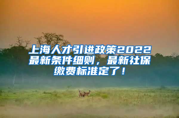 上海人才引进政策2022最新条件细则，最新社保缴费标准定了！