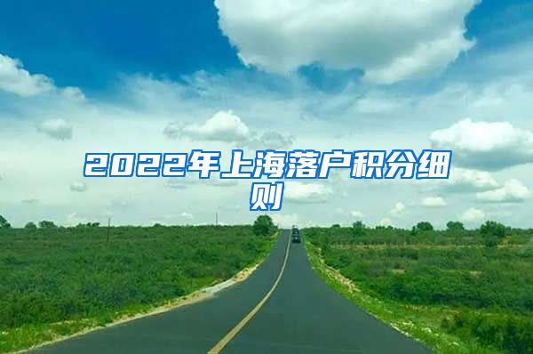 2022年上海落户积分细则