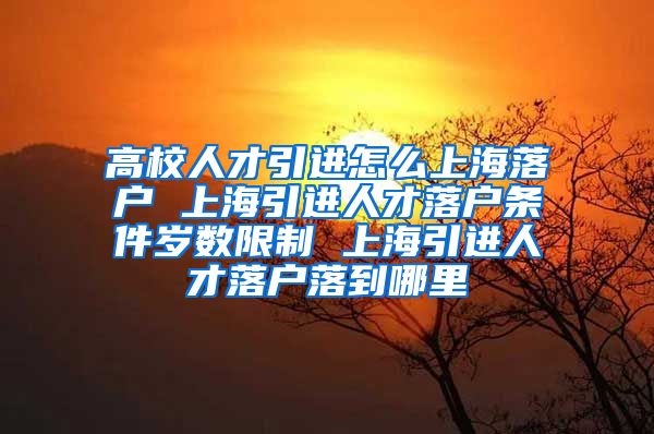 高校人才引进怎么上海落户 上海引进人才落户条件岁数限制 上海引进人才落户落到哪里