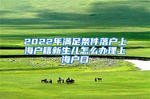 2022年满足条件落户上海户籍新生儿怎么办理上海户口