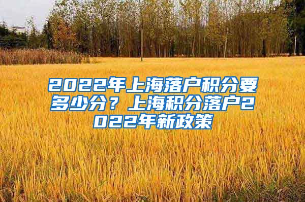 2022年上海落户积分要多少分？上海积分落户2022年新政策