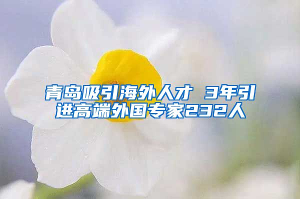 青岛吸引海外人才 3年引进高端外国专家232人