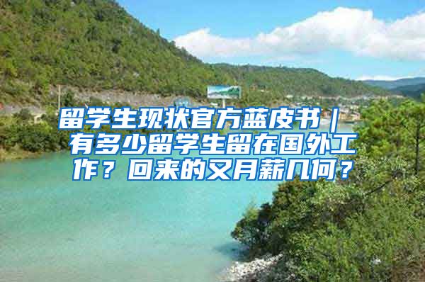 留学生现状官方蓝皮书｜ 有多少留学生留在国外工作？回来的又月薪几何？