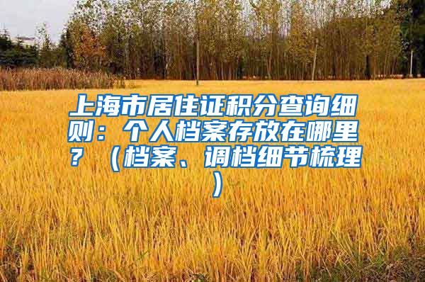 上海市居住证积分查询细则：个人档案存放在哪里？（档案、调档细节梳理）