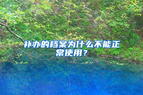 补办的档案为什么不能正常使用？