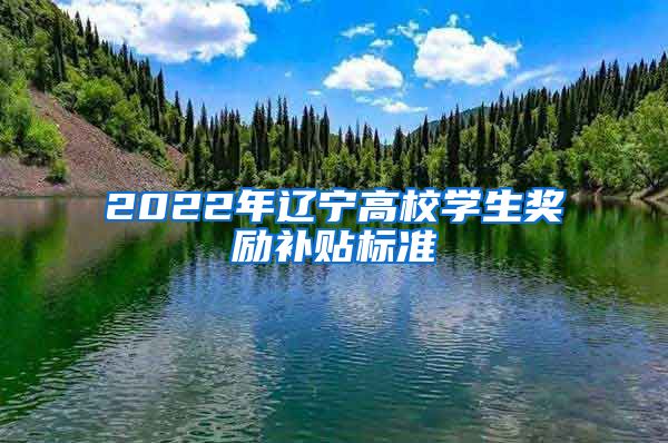 2022年辽宁高校学生奖励补贴标准