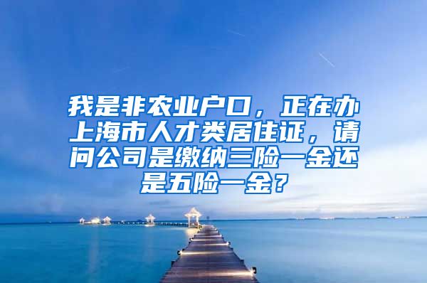 我是非农业户口，正在办上海市人才类居住证，请问公司是缴纳三险一金还是五险一金？