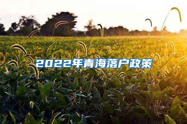 2022年青海落户政策