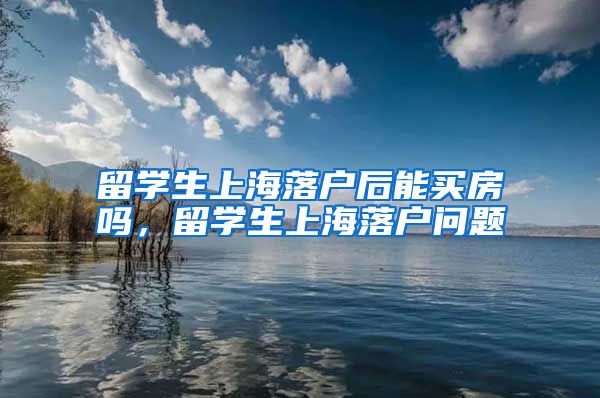 留学生上海落户后能买房吗，留学生上海落户问题