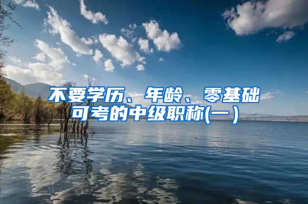 不要学历、年龄、零基础可考的中级职称(一）