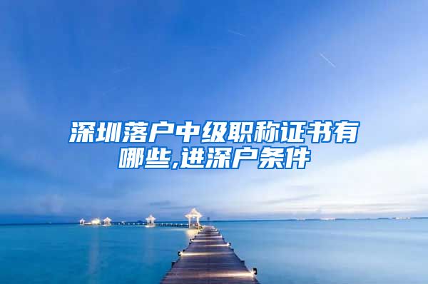 深圳落户中级职称证书有哪些,进深户条件