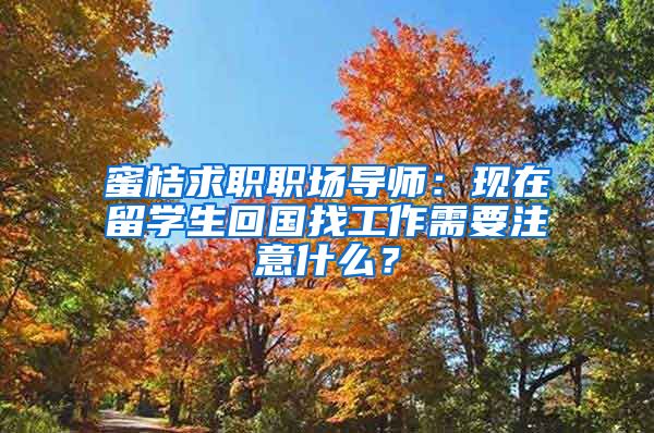 蜜桔求职职场导师：现在留学生回国找工作需要注意什么？