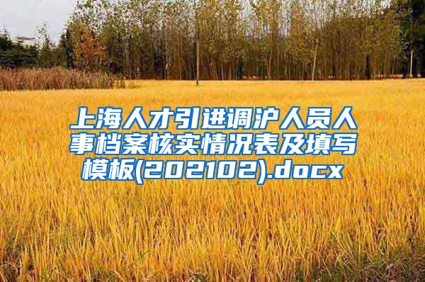 上海人才引进调沪人员人事档案核实情况表及填写模板(202102).docx