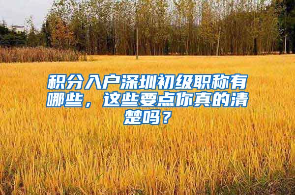 积分入户深圳初级职称有哪些，这些要点你真的清楚吗？