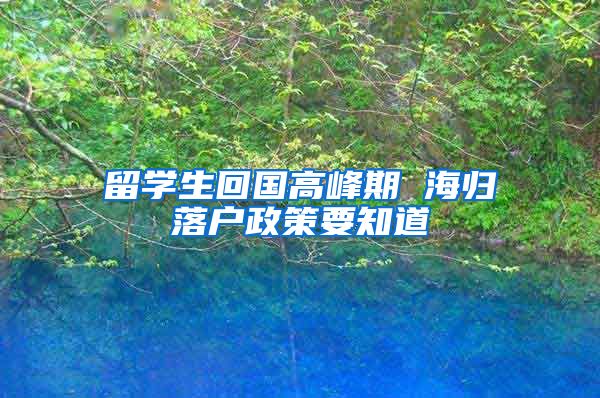 留学生回国高峰期 海归落户政策要知道